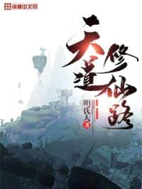 天道修仙路封面