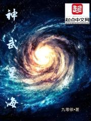 神武星海封面