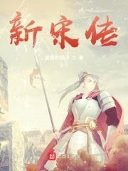 新宋传封面