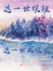 这一世很短这一世又很长封面