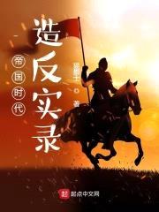 帝国时代造反实录封面