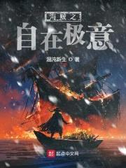 海贼之自在极意封面