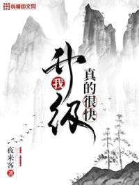 我升级真的很快封面