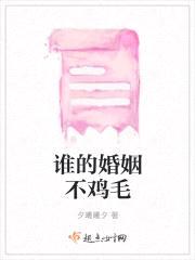 谁的婚姻不鸡毛封面
