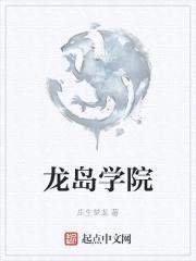 龙岛学院封面