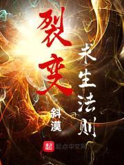 裂变求生法则封面