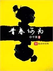 青春何为封面