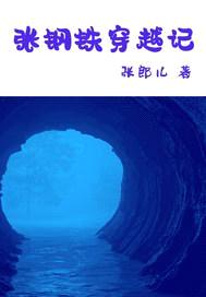 张钢铁穿越记封面