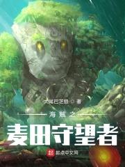 海贼之麦田守望者封面