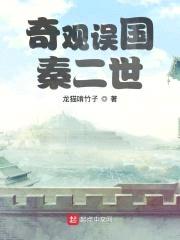 奇观误国秦二世封面