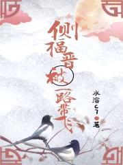 侧福晋被一路带飞封面
