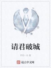 请君破城封面
