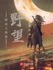 肥前之狼的野望封面