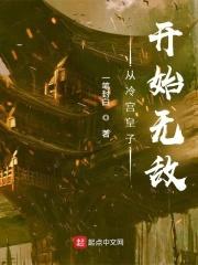 从冷宫皇子开始无敌封面