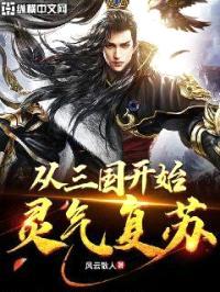 从三国开始灵气复苏封面