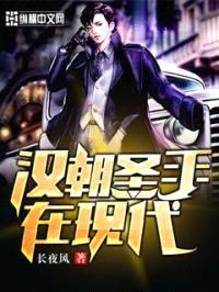 汉朝圣手在现代封面