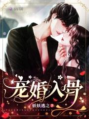 宠婚入骨封面