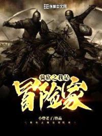 骑砍之我是冒险家封面