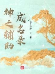 神之辅助成名录封面