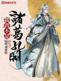 我真不是诸葛孔明封面