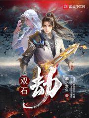 双石劫封面