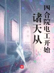 诸天从四合院电工开始封面