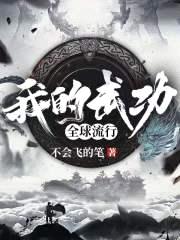 我的武功全球流行封面