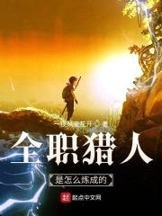 全职猎人是怎么炼成的封面