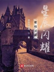 霍格沃茨，星辰闪耀封面