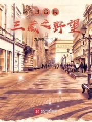 四合院：三藏之野望封面