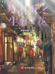 乃木坂之生如夏花封面