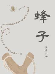 蜂子封面