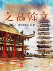 大明王朝1566之高翰文封面