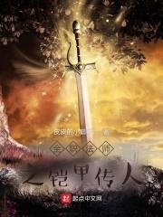 全职法师之铠甲传人封面