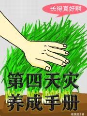 第四天灾养成手册封面
