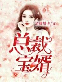 总裁宝婿封面