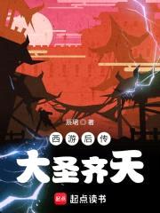 西游后传，大圣齐天封面