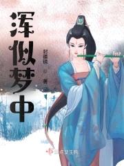 浑似梦中封面