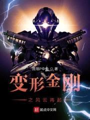 变形金刚之风云再起封面