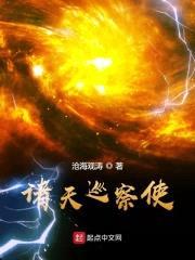 诸天巡察使封面