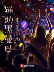 辅助黑曼巴封面