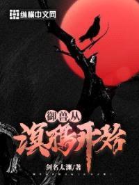 御兽从溟鸦开始封面