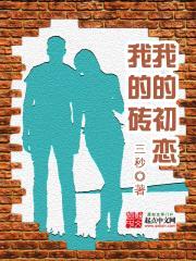 我的初恋，我的砖封面