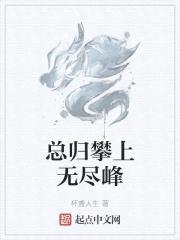 总归攀上无尽峰封面