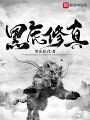 黑虎修真封面