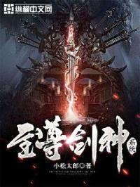 至尊剑神系统封面