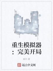 重生模拟器：完美开局封面