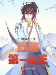 红楼第一闲王封面