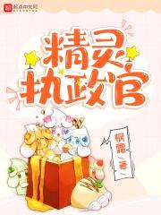 精灵执政官封面