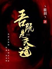 吾既是天道封面